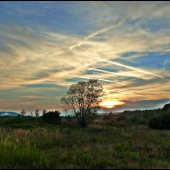 predjesenná náladovka ...