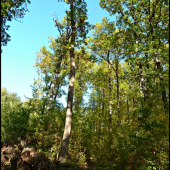 len tak, na prechádzke ...