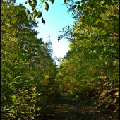 jesenná cestička ...