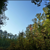 na začiatku pohonu ...