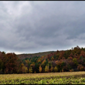 jesennými farbičkami ...
