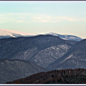v pozadí Kráľova Hoľa ...