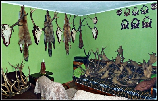 predvianočné upratovanie mojej 