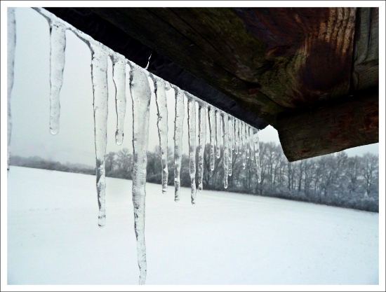 cencúle na posede ...