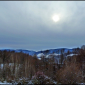 krajinka za stromami ...