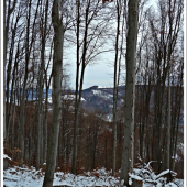 pohľad z bučiny ...