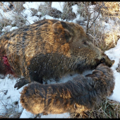 úspešne dohľadaný ...