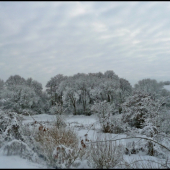 všetko zasnežené ...