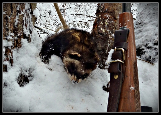 Splnový tchor, alebo streliť je ľahko a čo potom ... :-)