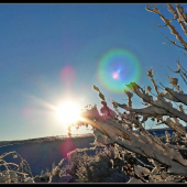 zasnežené ráno ...