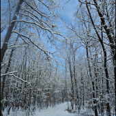 v zasneženej hore ...