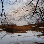 len tak z prechádzky ...