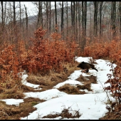 fúľali ako čerti ...