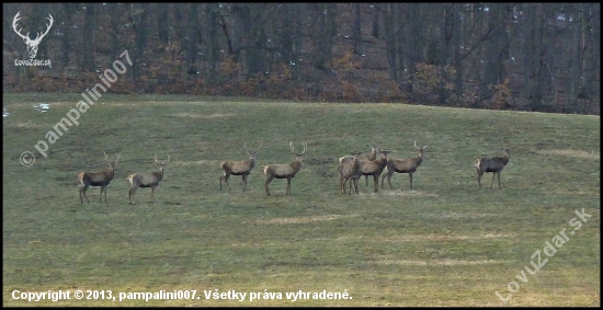 ešte nezhodili ...
