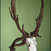 ID 202363 - už iba trochu dobieliť a šup na podložku :-)