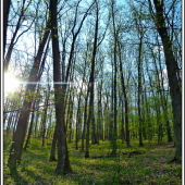 popoludnie v hore ...