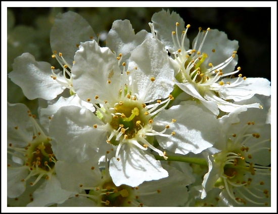 škoda, že sa nedá pridať aj vôňa ...