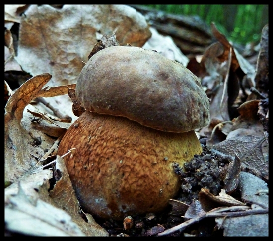 síce malý, ale prvý v roku 2013 :-)