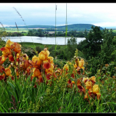 pohľad na rybník ...
