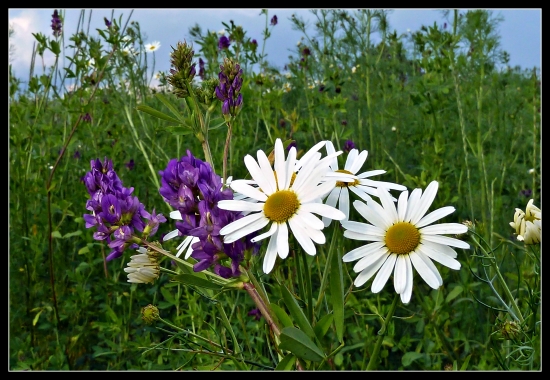 len tak, na prechádzke ...