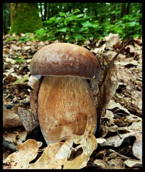 ďalší fešáčik ...