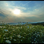 len tak, cestou von ...