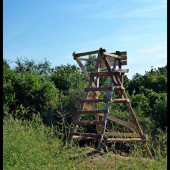 účelová rýchlovka ...