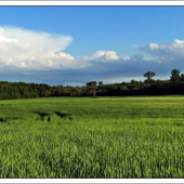 vyjasnenie po daždi ...