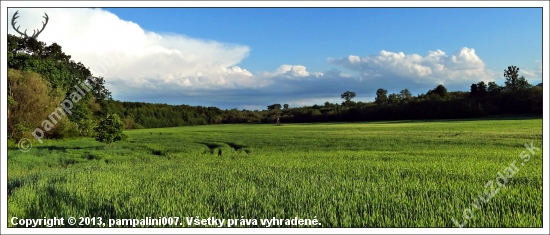 vyjasnenie po daždi ...