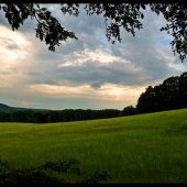 podvečer na posede ...