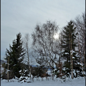 jedna na schladenie ...