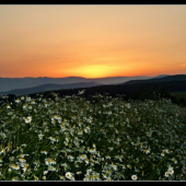 ... no a neodfoť to ... :-)