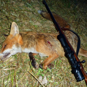 lišiak na monitoring ...