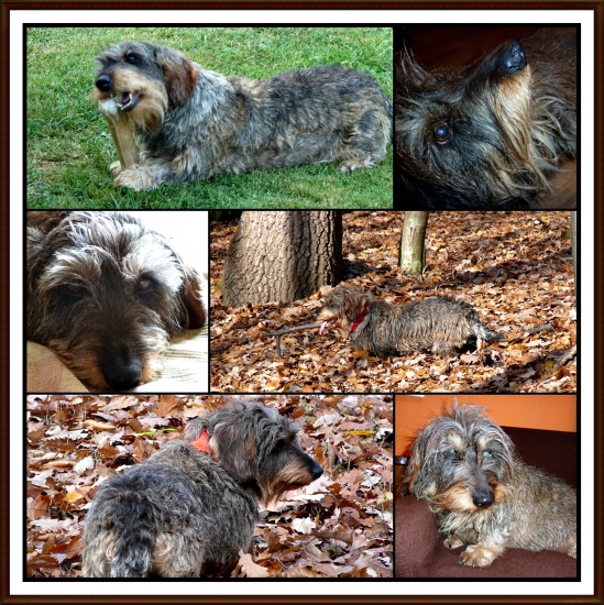 včera odišla... navždy ...