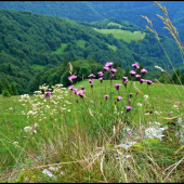 pohľad do doliny ...