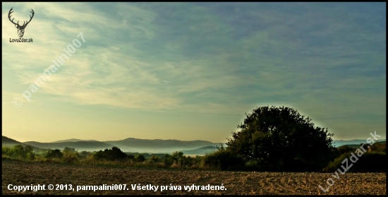 pri hruške ...