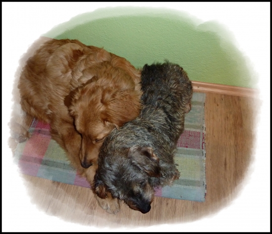 Nostalgia - už je to vyše mesiaca ...