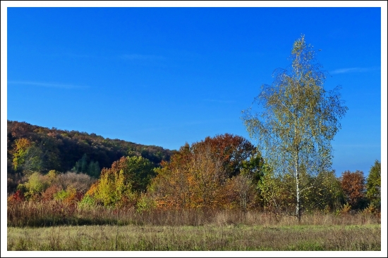 pekný deň na pastve ...