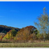 pekný deň na pastve ...