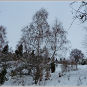 za chvíľu je to tu ...