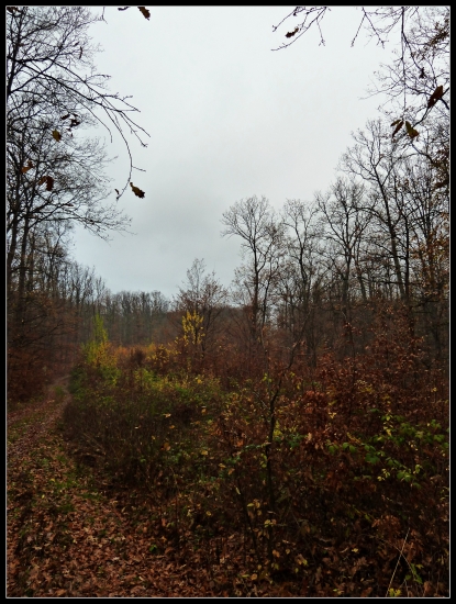 v pohone pred mladinou ...