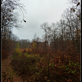 v pohone pred mladinou ...