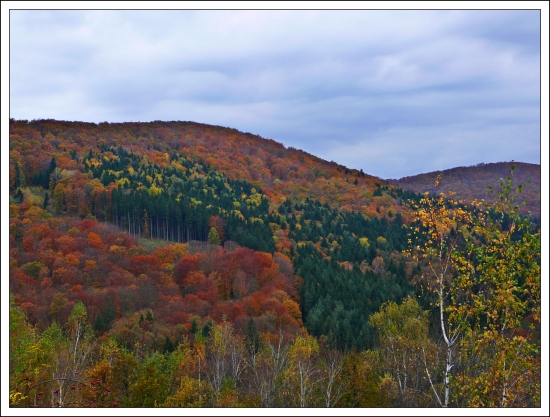 vo farbách jesene ...