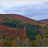 vo farbách jesene ...