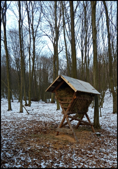 krmelec je doplnený ...