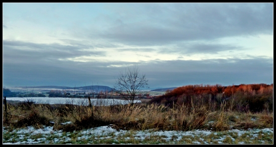 ráno nad rybníkom ...