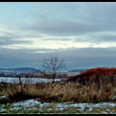 ráno nad rybníkom ...