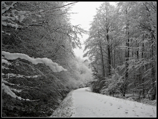 Už aby aj u nás bolo takto ...