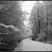 Už aby aj u nás bolo takto ...