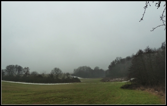 Dnes - zasa sychravo a hmla ... :-(